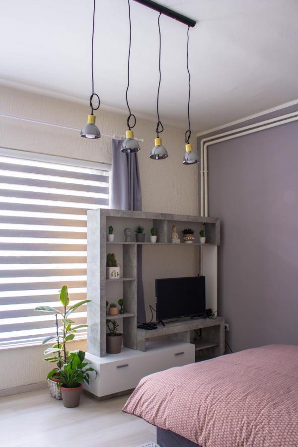 Bb Downtown Apartment Bajina Basta Exterior photo